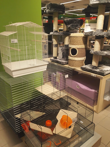 Bird shops Budapest