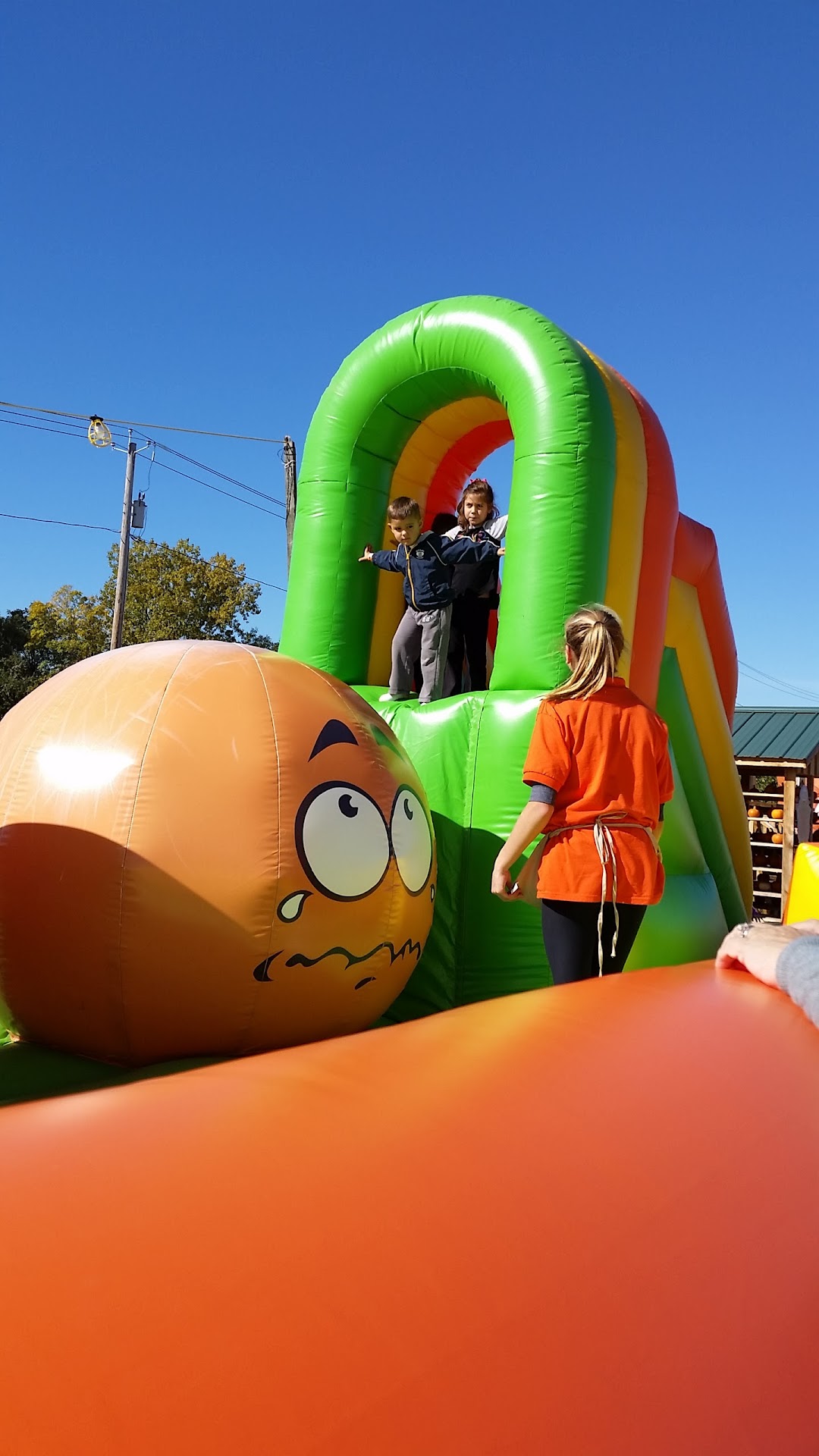 Sentry Business Products