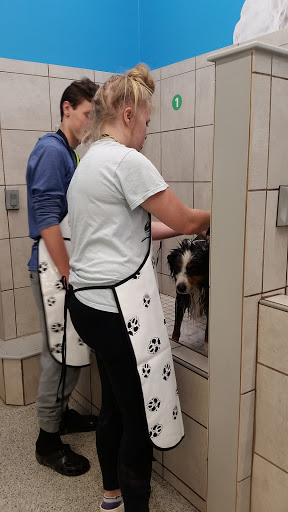 Pet Supply Store «Pet Supplies Plus», reviews and photos, 3984 Seneca St, West Seneca, NY 14224, USA