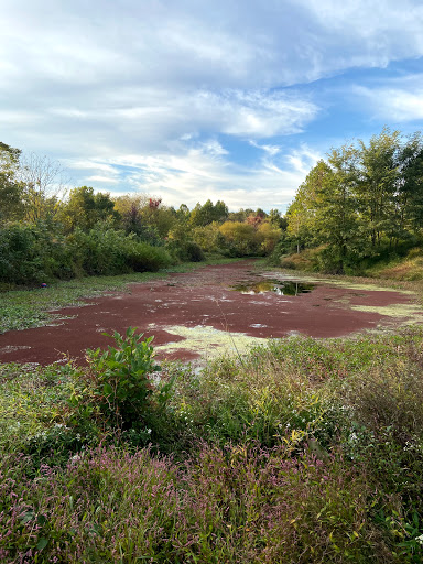 Park «Meadowbrook Park», reviews and photos, 5001 Meadowbrook Ln, Ellicott City, MD 21043, USA
