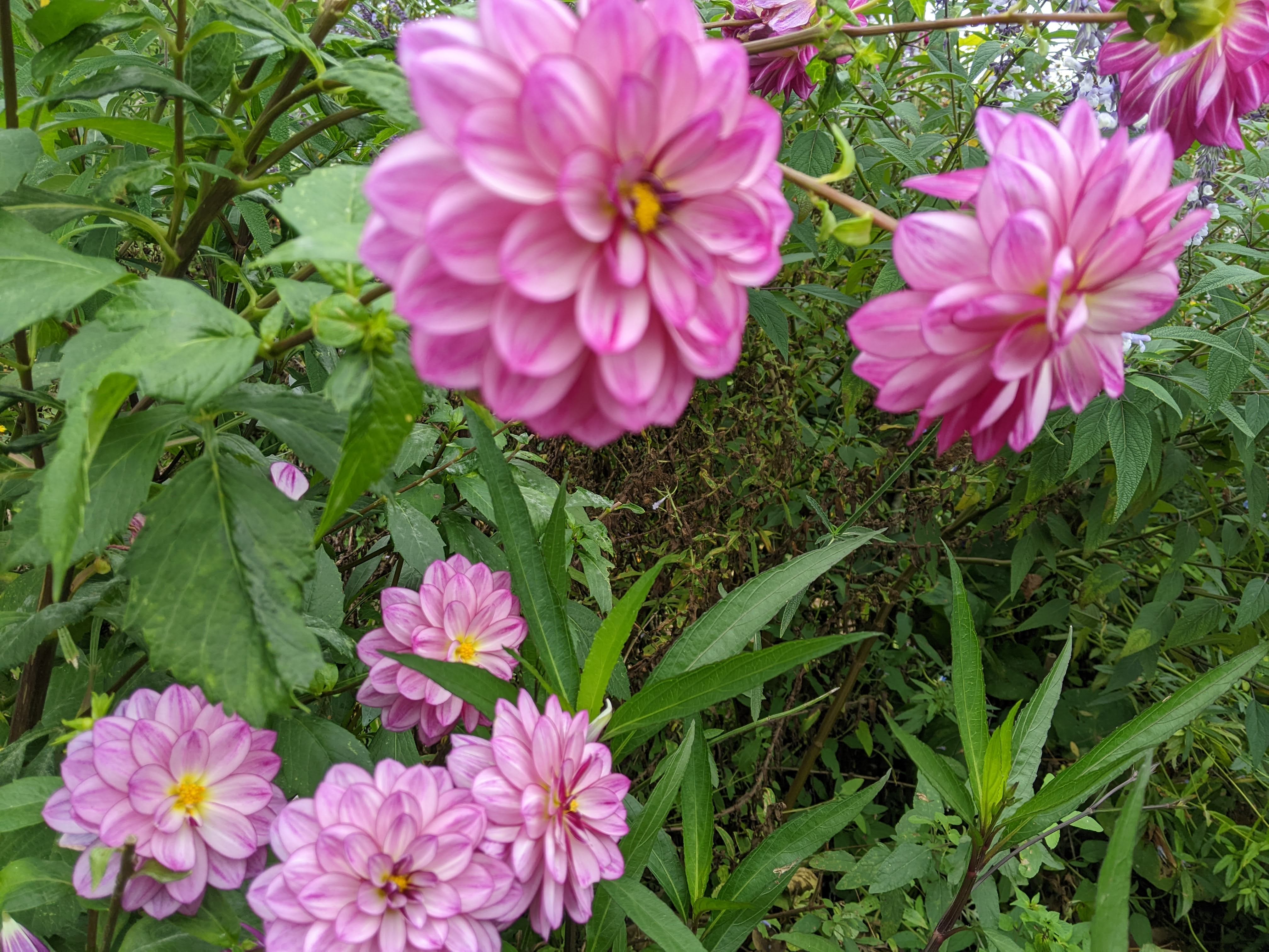 Photo n° 11 de l'avis de konrad.a fait le 08/11/2022 à 15:06