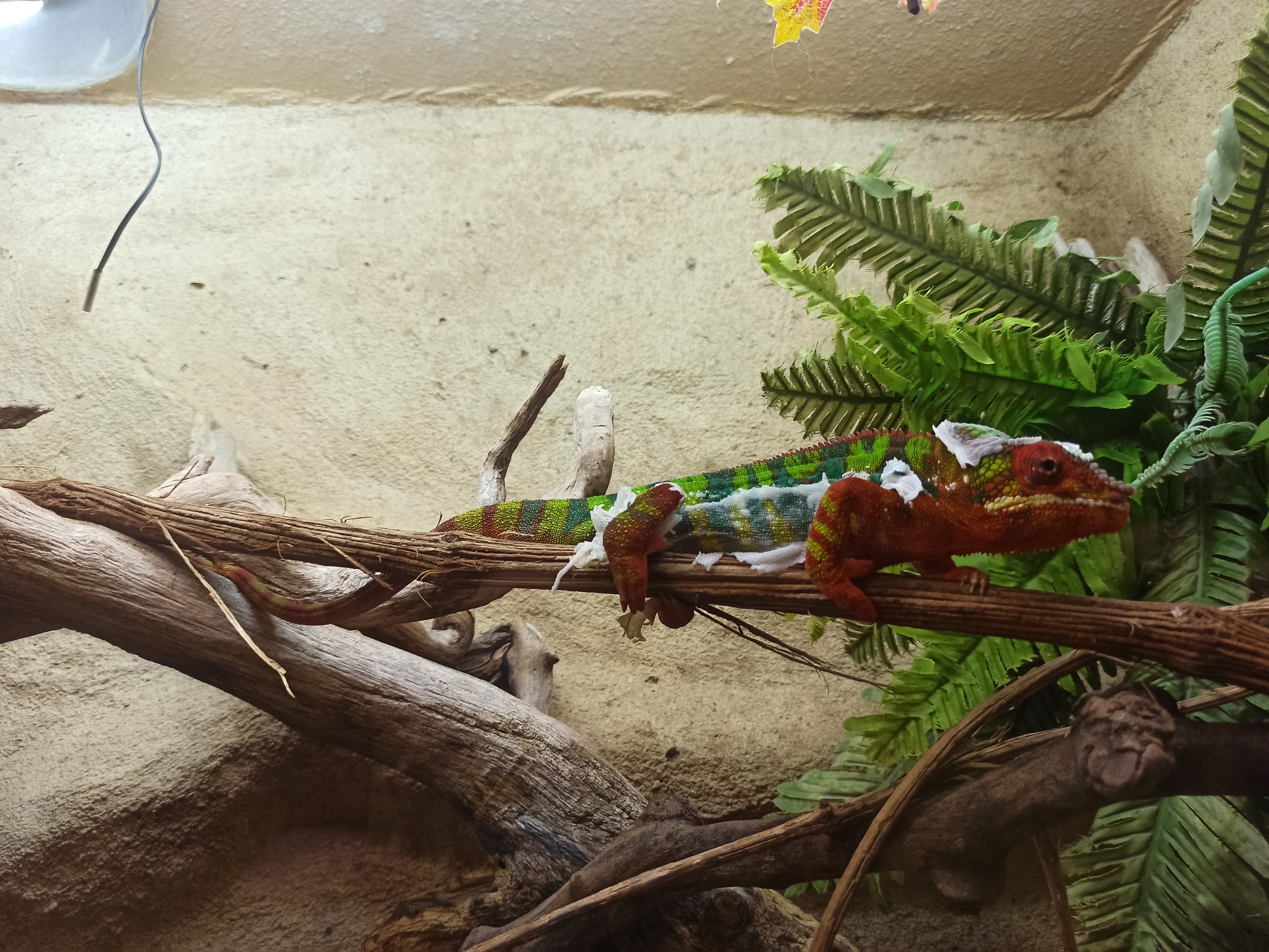 Photo n° 5 de l'avis de Thierry.e fait le 10/07/2023 à 16:02