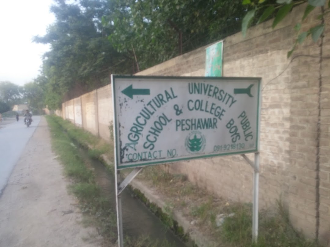 Agriculture University Public School and College for Boys