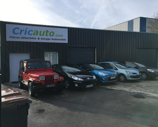 Cricauto