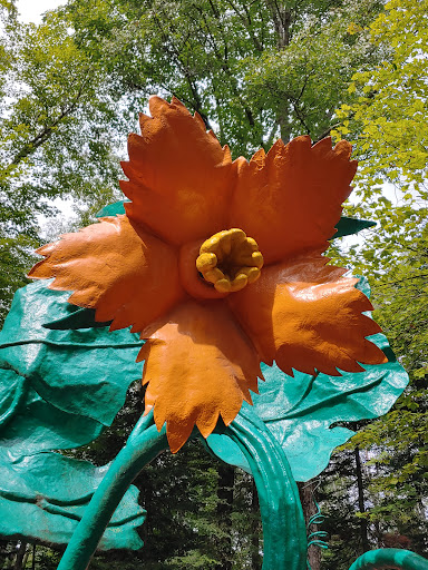 Water Park «Enchanted Forest Water Safari», reviews and photos, 3183 NY-28, Old Forge, NY 13420, USA