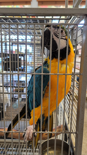 Pet Store «El Palomar Pet Shop Inc», reviews and photos, 4712 W Flagler St, Coral Gables, FL 33134, USA