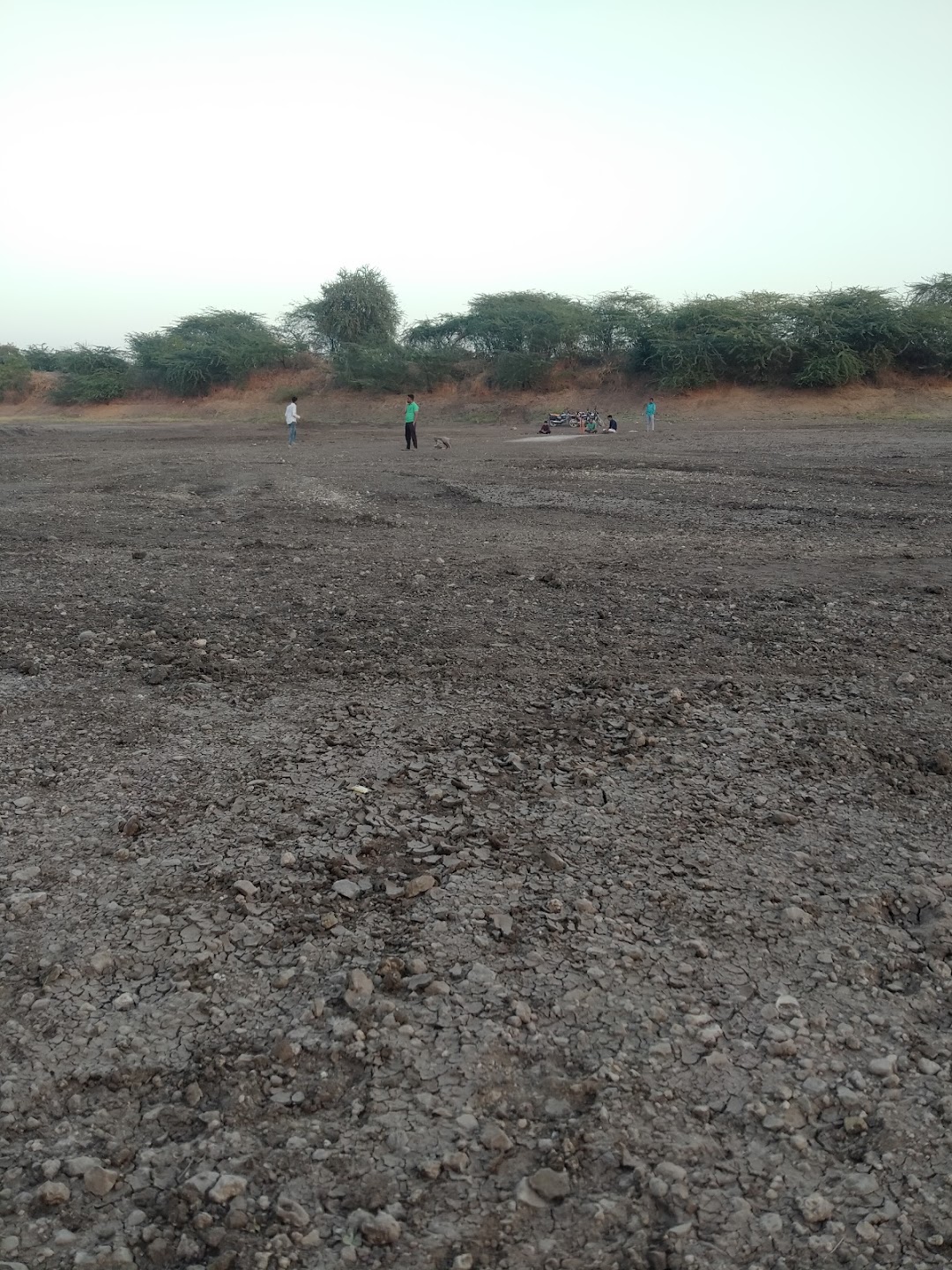 Cricket Stadium