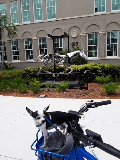 City Hall «City of Boynton Beach», reviews and photos