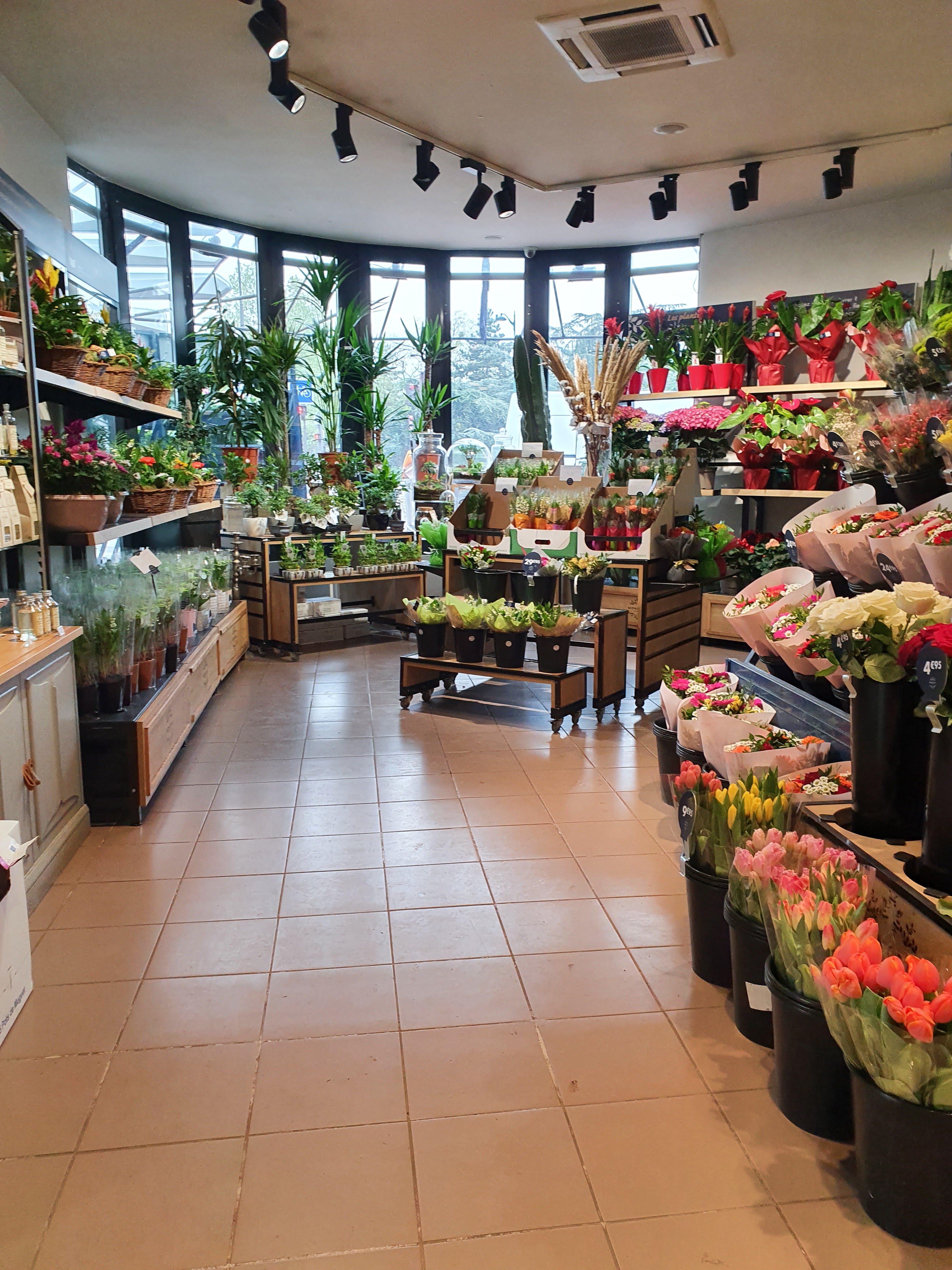 Photo n° 2 de l'avis de Julis.l fait le 17/03/2021 à 16:38