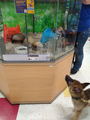 Pet Supply Store «Petco Animal Supplies», reviews and photos, 3264 Buford Dr NE #110, Buford, GA 30519, USA