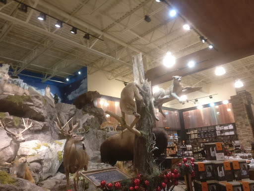 Outdoor Sports Store «Field & Stream», reviews and photos, 2075 Interchange Rd, Erie, PA 16509, USA