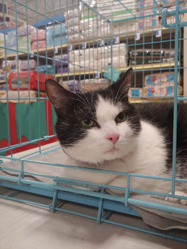 Pet Supply Store «PetSmart», reviews and photos, 13866 Metrotech Dr, Chantilly, VA 20151, USA