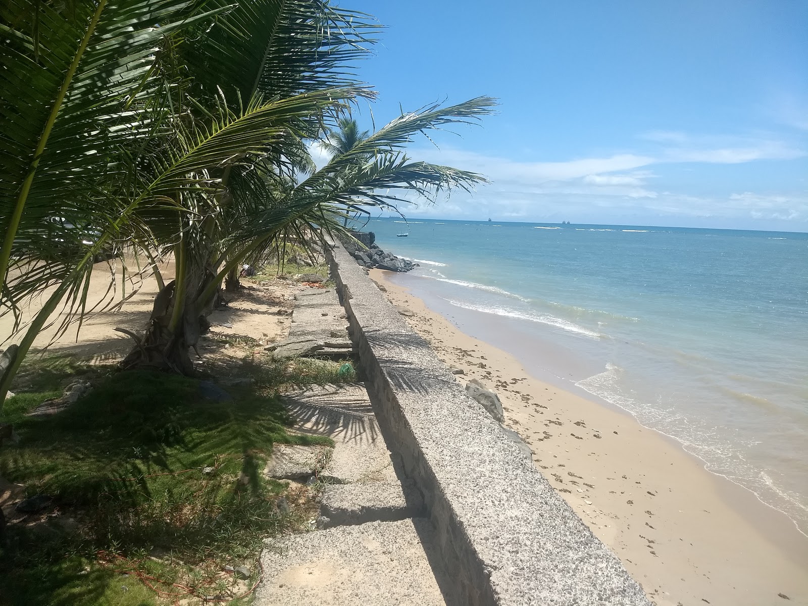 Photo of Enseada da Barra Grande Beach wild area