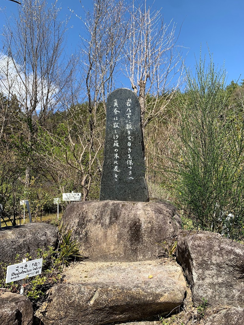 虎岩樹木園