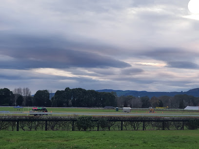 Rotorua Racing Club Inc