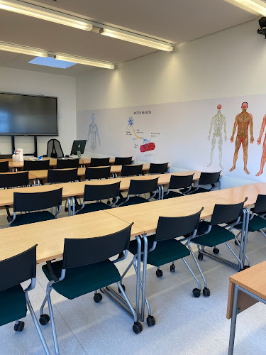 Rezensionen über Dickerhof AG : Bildungszentrum für Massage, Kosmetik & Weiterbildungen.. in Emmen - Masseur