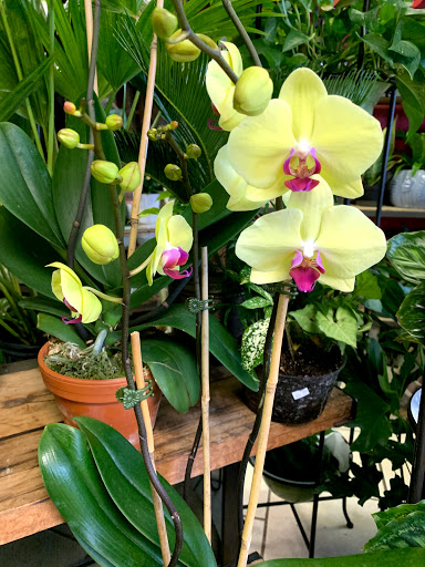 Florist «In The Garden», reviews and photos, 69 Waterwitch Ave, Highlands, NJ 07732, USA