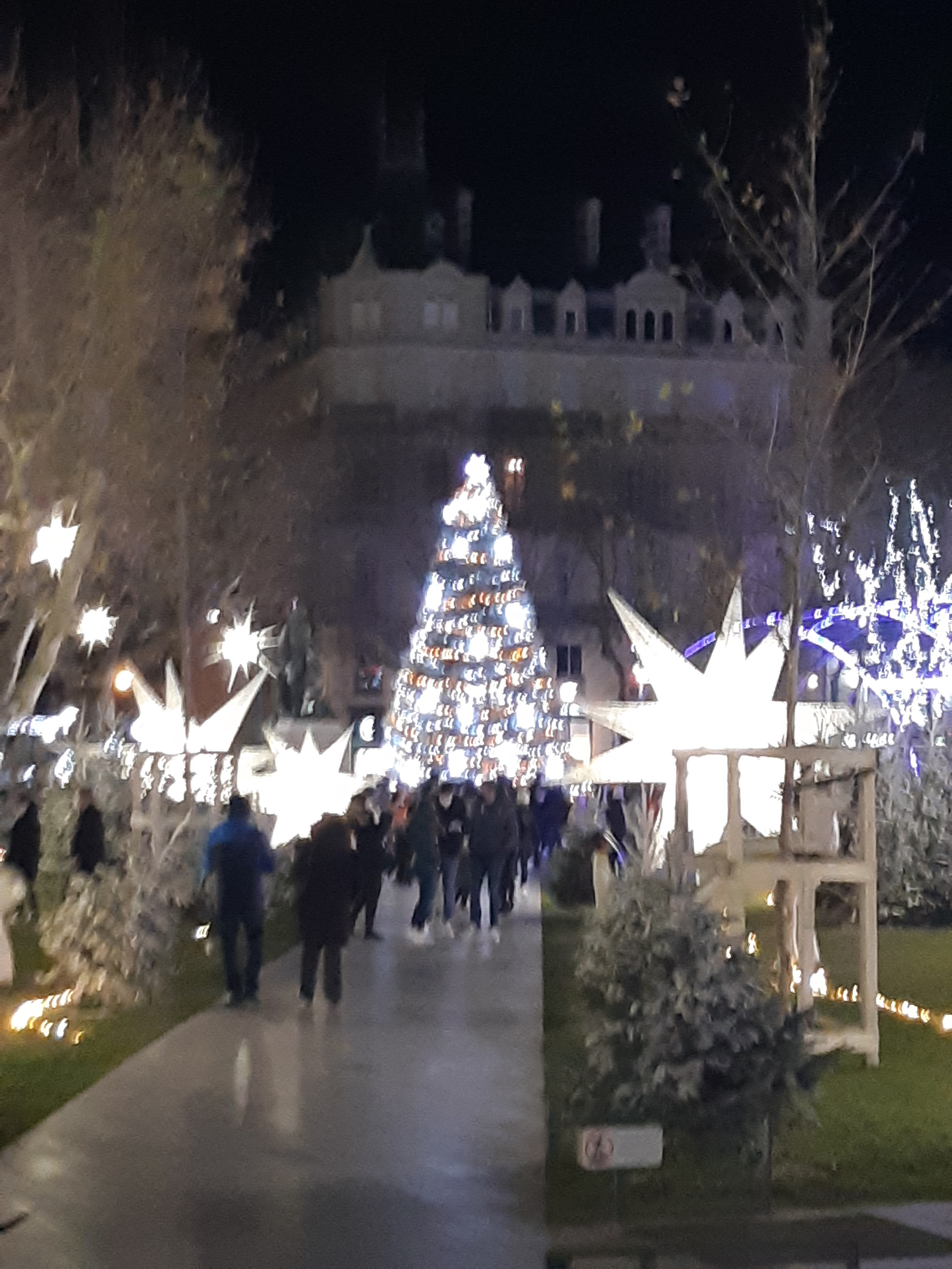 Photo n° 14 de l'avis de laure.o fait le 30/12/2020 à 19:02
