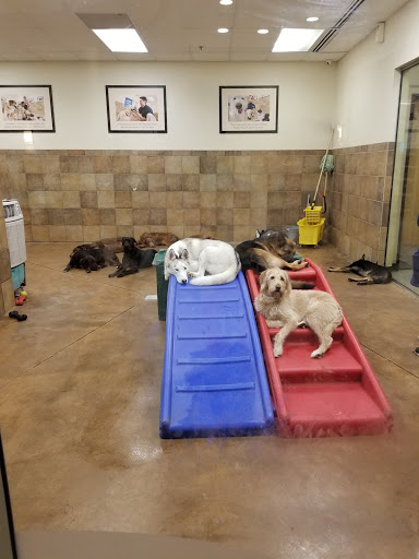 Pet Supply Store «PetSmart», reviews and photos, 3500 S Glenstone Ave, Springfield, MO 65804, USA