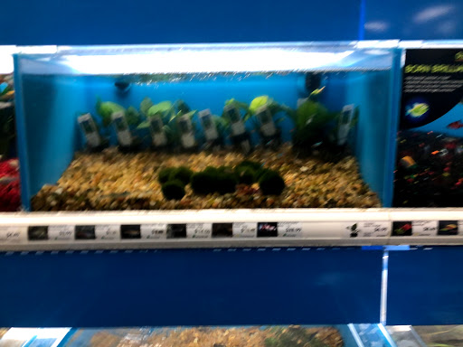 Pet Supply Store «Pet Supermarket», reviews and photos, 2959 N Druid Hills Rd NE, Atlanta, GA 30329, USA