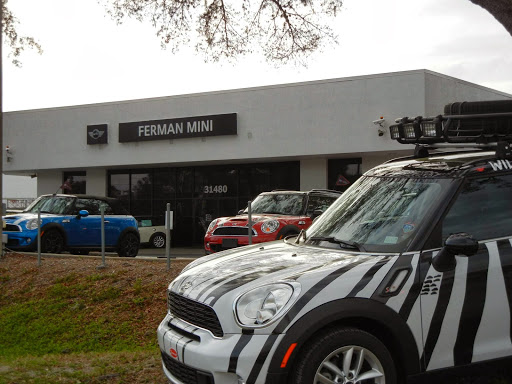 Car Dealer «Ferman MINI of Tampa Bay», reviews and photos, 31320 US-19, Palm Harbor, FL 34684, USA