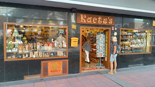 Kactus Santa Catalina (Artesanía Canaria y Souvenir)