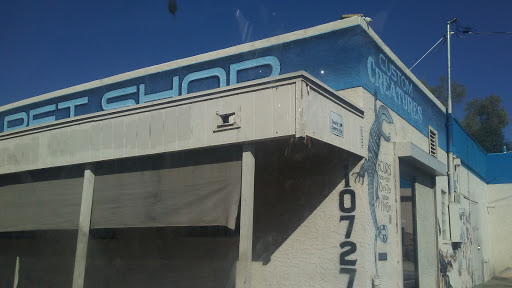 Pet Store «CUSTOM CREATURES PET SHOP», reviews and photos, 10727 N 19th Ave, Phoenix, AZ 85029, USA