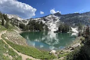 Uinta-Wasatch-Cache National Forest image