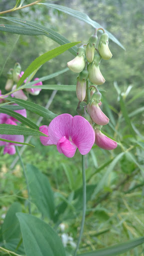 Park «DePauw Nature Park», reviews and photos, 1400 West County Road 125 South, Greencastle, IN 46135, USA