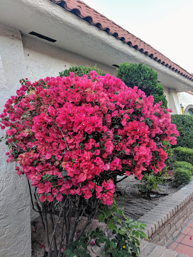 Miniature Golf Course «Golfland», reviews and photos