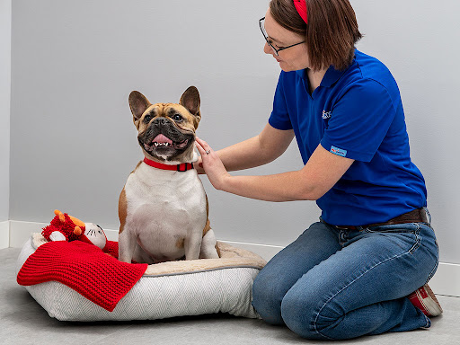 Pet Supply Store «PetSmart», reviews and photos, 4601 Outer Loop, Louisville, KY 40219, USA