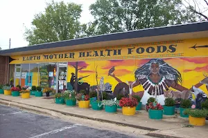 Earth Mother Health Foods image