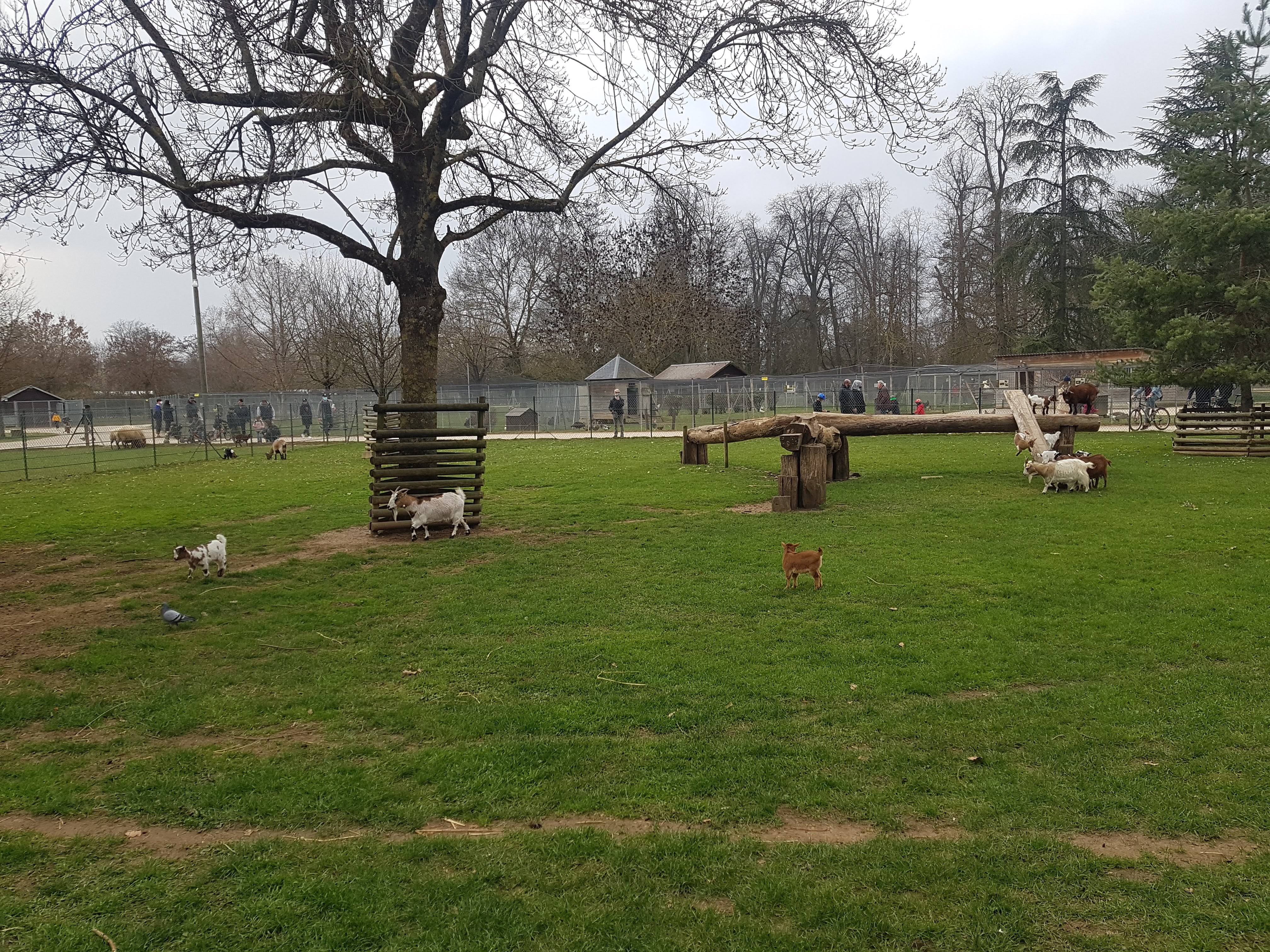 Photo n° 4 de l'avis de Joyce.e fait le 20/04/2021 à 05:48