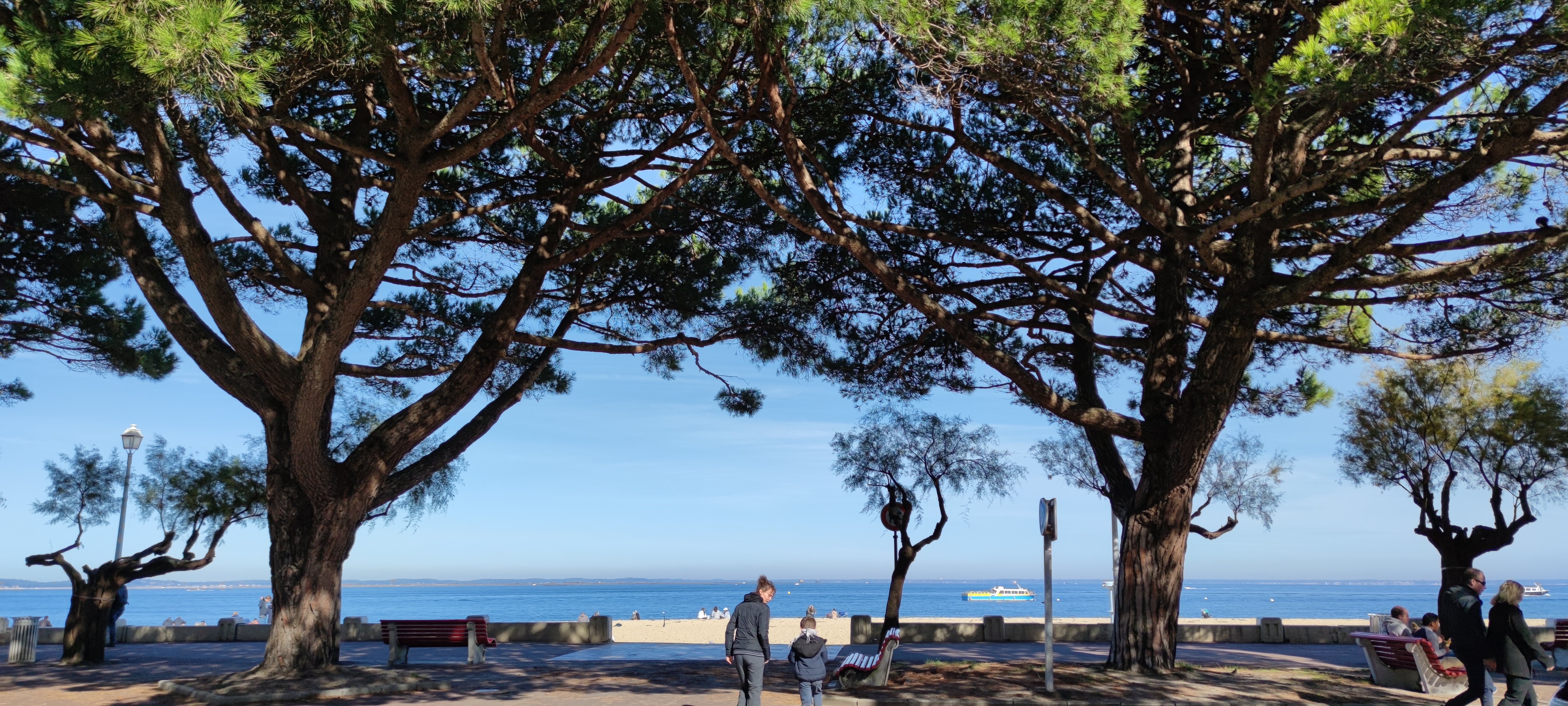 Photo n° 1 de l'avis de claudine.e fait le 29/10/2021 à 13:18