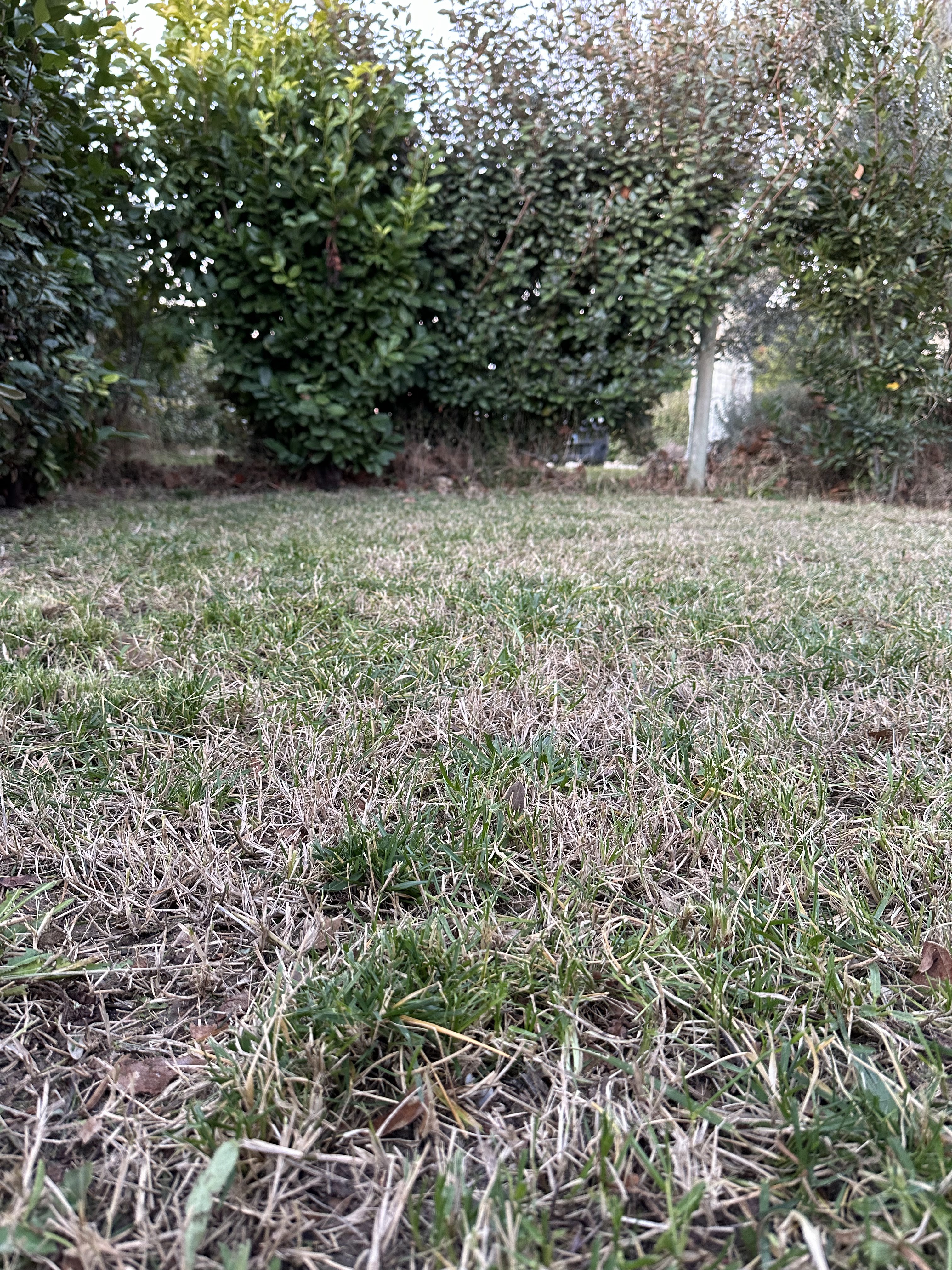 Photo n° 1 de l'avis de Et.o fait le 27/01/2024 à 07:07