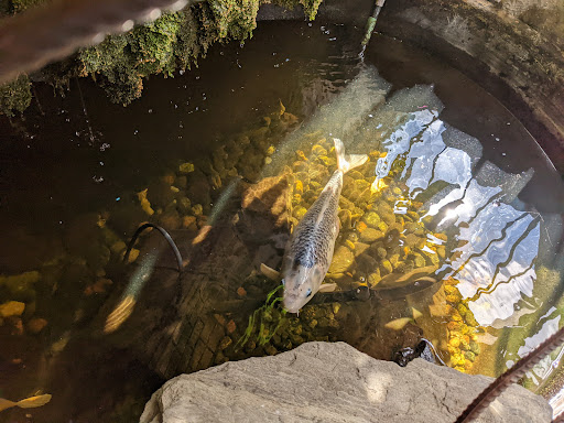 Find ideas for tattoos for moms for your next unique tattoo in Albuquerque at Evolution Body Piercing