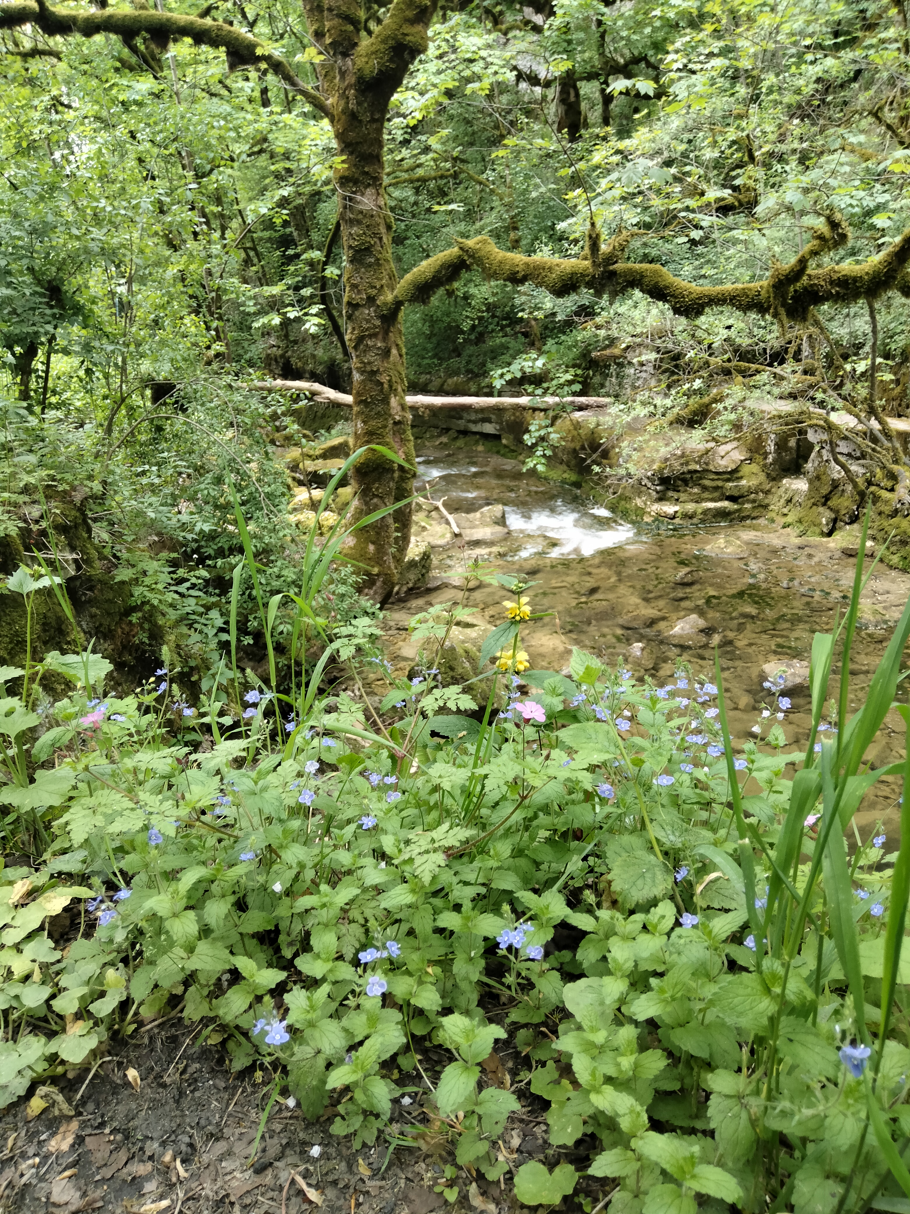 Photo n° 17 de l'avis de Pascal.a fait le 12/05/2022 à 16:58