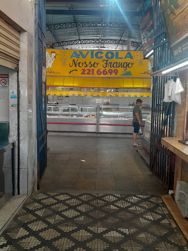 Logo da empresa - Avícola Nosso Frango