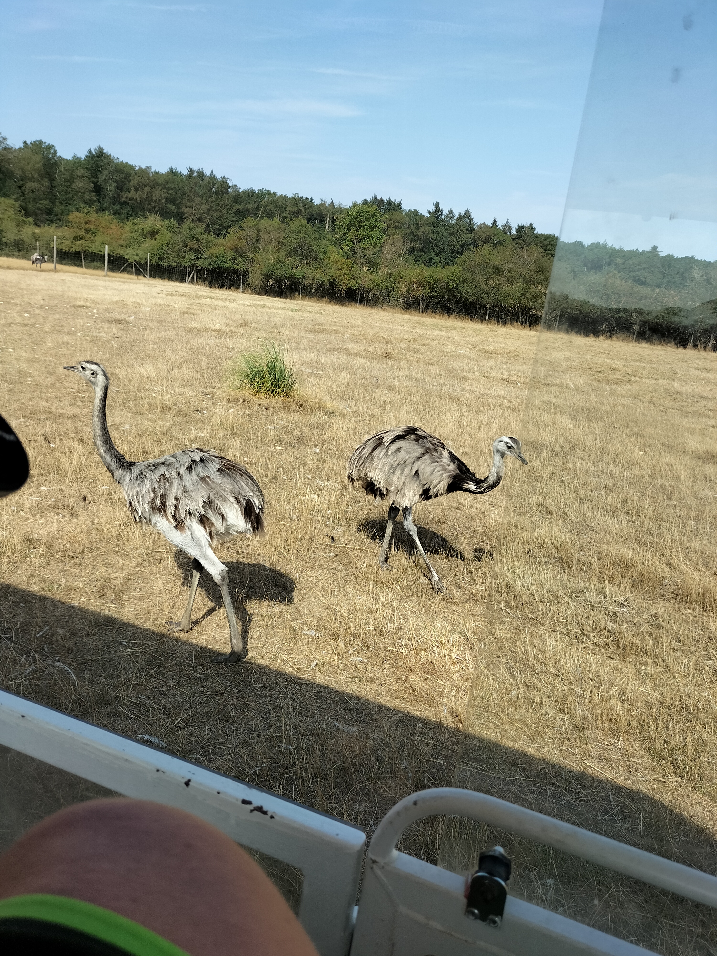 Photo n° 5 de l'avis de Melanie.r fait le 31/08/2022 à 15:45