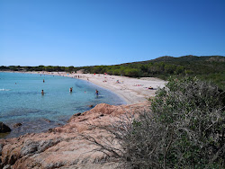 Zdjęcie Plaża Rondinara położony w naturalnym obszarze