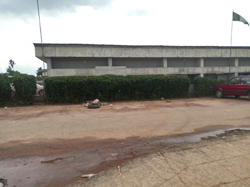 The Observer, Airport Rd, Ogogugbo, Benin City, Nigeria, Newspaper Publisher, state Niger