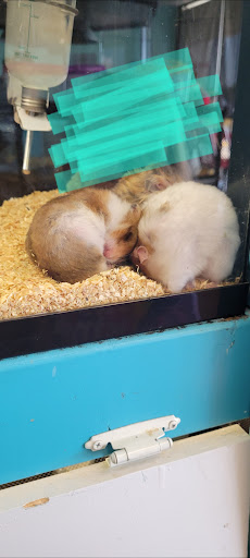 Pet Store «Pet Zone», reviews and photos, 1620 Marion-Mt Gilead Rd, Marion, OH 43302, USA