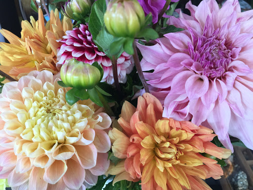 Florist «Jephry Flower Studio», reviews and photos, 432 Broadway, Providence, RI 02909, USA