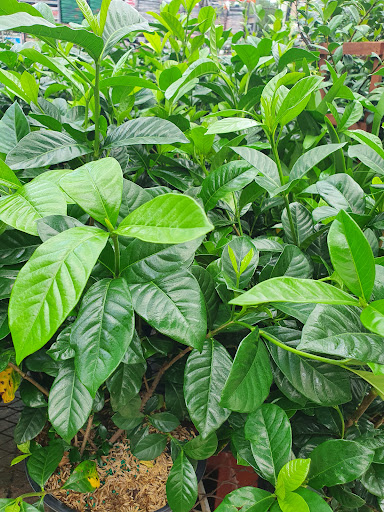 Home Improvement Store «The Home Depot», reviews and photos, 2901 N University Dr, Sunrise, FL 33322, USA