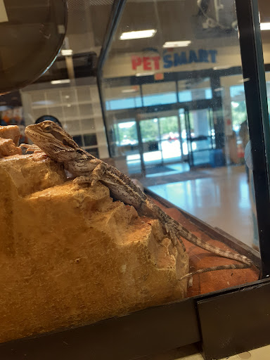 Pet Supply Store «PetSmart», reviews and photos, 1183 Berkshire Blvd, Wyomissing, PA 19610, USA