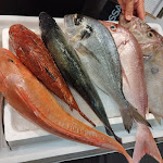 Photo n°1 de l'avis de Deborah.u fait le 15/01/2023 à 16:38 sur le  Ristorante l'Altra Botte à Legnano