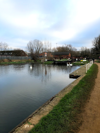 Fobney Island Nature Reserve