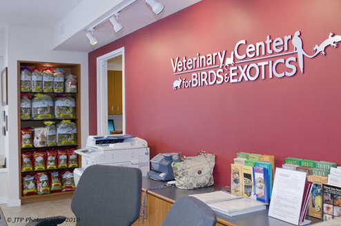 Veterinary Center for Birds & Exotics image 8