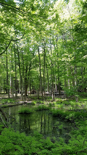 Nature Preserve «Reinstein Woods Nature Preserve», reviews and photos, 93 Honorine Dr, Depew, NY 14043, USA