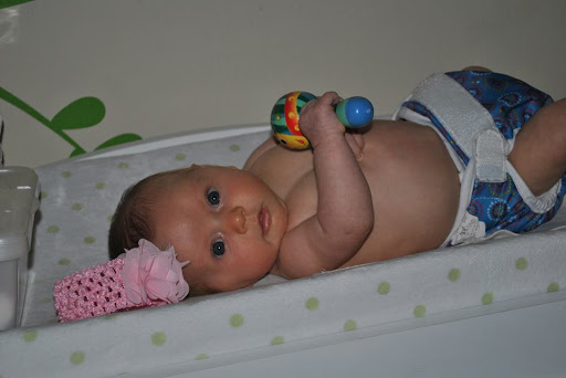 Diaper Service «Baby Diaper Service», reviews and photos, 6559 5th Pl S, Seattle, WA 98108, USA